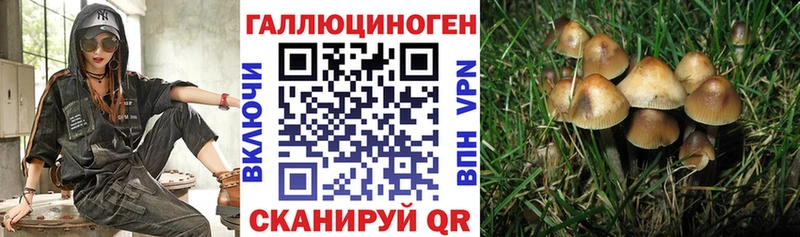 Псилоцибиновые грибы MAGIC MUSHROOMS  Шатура 