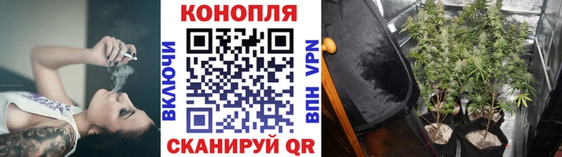 shop состав  Шатура  ОМГ ОМГ зеркало  Шишки марихуана ГИДРОПОН  закладка 